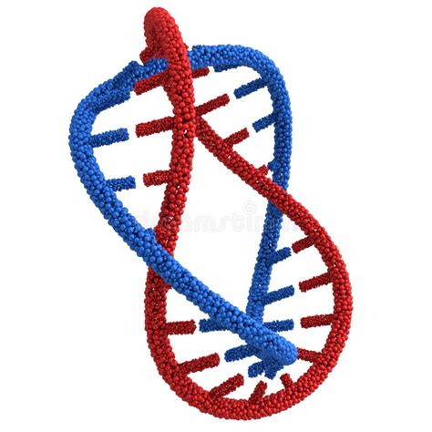 La Molécula De La DNA Torció En Un Espiral Y Médico Stock de