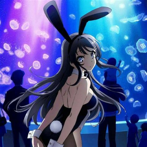 Stream Bunny Girl Senpai Ending song. by Senpai OP | Listen online for free on SoundCloud