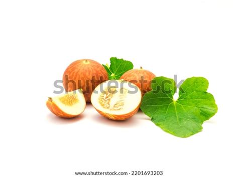 262 Armenian Melon Images Stock Photos 3d Objects And Vectors