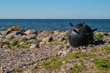 Вижте какво изхвърли морето край Балчик (СНИМКА)
