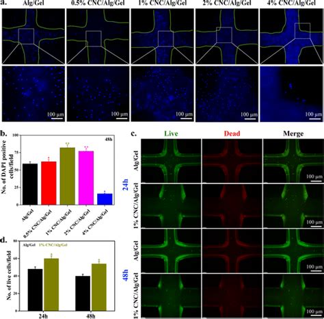 Cell Viability And Proliferation Within 3d Bioprinted Constructs A Download Scientific