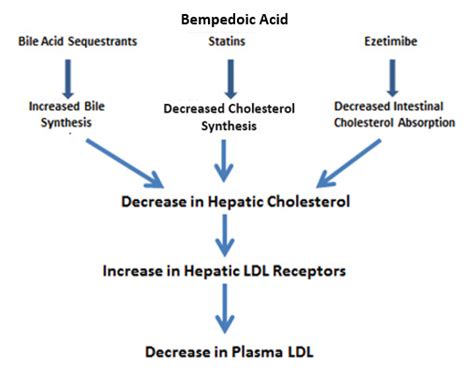 Figure 1. [Mechanism for the Decrease in LDL Levels]. - Endotext - NCBI ...