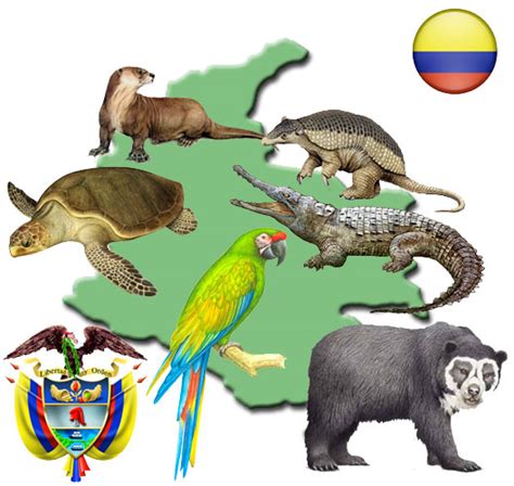 Animales extintos y en peligro de extinción en Colombia