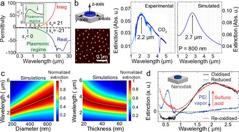 Dynamic Conducting Polymer Plasmonics And Metasurfaces ACS Photonics