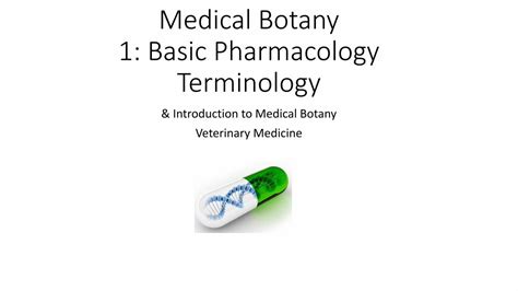 Pdf Basic Pharmacology Terminology Dokumen Tips