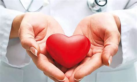 Today Is World Heart Day Top Tips To Protect Your Heart இன்று உலக இதய தினம் இதயத்தை