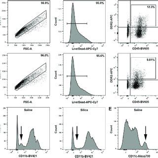 Identification Of A Novel Circulating Fibroblast Precursor Subset In