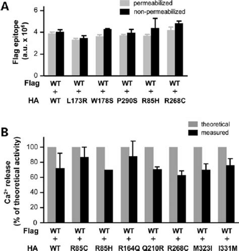 A Cell Surface Targeting Of Wild Type Receptors In The Presence Of