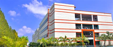 Stjosephs Institute Of Technology Portal