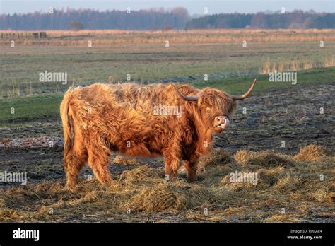 Tarleton Lancashire Th February Uk Weather Cold Frosty