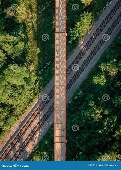 Vertical Aerial View of a Bridge Hanging Above Train Tracks Inside a Forest Stock Image - Image ...