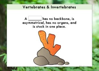 Vertebrates Invertebrates Task Cards Print And Digital Distance