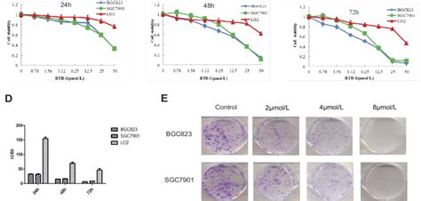 Inhibitory Activities Of Rtr In The Bgc Sgc And Lo Cells