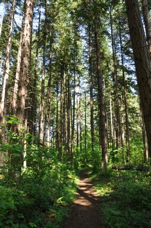 Swan Creek Park - Tacoma Parks & Recreation