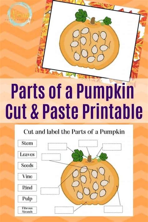 Parts Of A Pumpkin Printable For Kids Parts Of A Pumpkin Activities