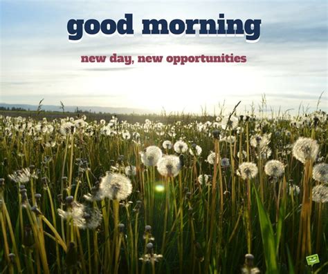 New Day New Opportunities