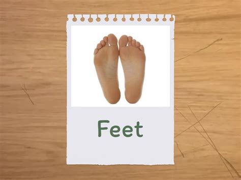 arms legs hands feet flashcards flash cards