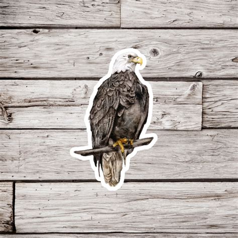 Bald Eagle Sticker Or Magnet Bald Eagle Sticker Eagle Sticker Bird