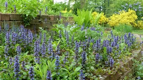 Workshop Over Stekken En Vermeerderen Van Planten Adverteren Geldrop