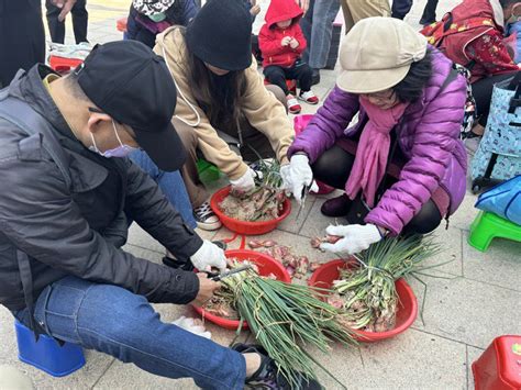 台灣本產紅蔥頭9成在台南 產季到北門公所首辦活動行銷 雲嘉南 地方 聯合新聞網