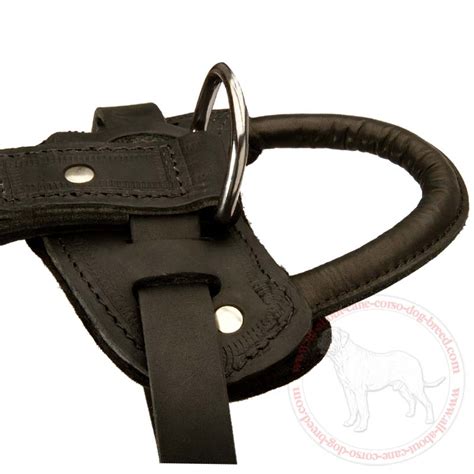 Buy American Bulldog Harness | Attack Training | Walking Dog