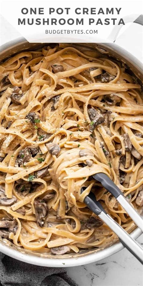 One Pot Creamy Mushroom Pasta Budget Bytes