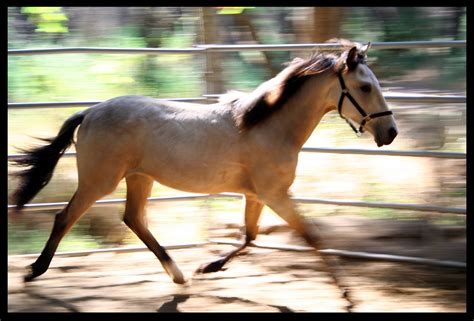 Air Time Free Photo Download Freeimages