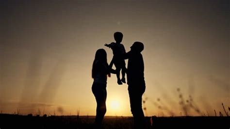 Silhouette People Park Sunset Family Spends Stock Footage Video (100% ...