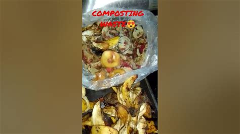 How To Compost Waste Using Kitchen Waste🧡 Youtube