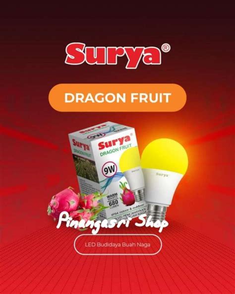 Jual Hannochs Lampu LED Buah Naga 9 Watt Dragon Fruit Surya Kuning