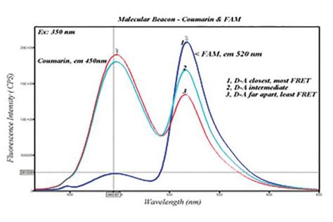 Fluorescence Lifetime Techniques Tcspc Fret Tres Sstd And More