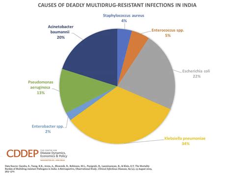 Causes Of Deadly Multidrug Resistant Infections In India One Health Trust