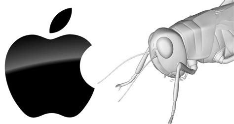 Grasshopper Para Mac Fab Lab Alicante