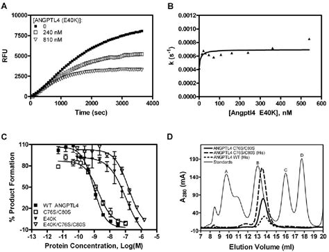 Pdf The Angiopoietin Like Proteins Angptl3 And Angptl4 Inhibit