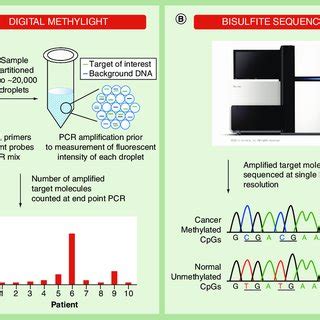 Clinical Assay Formats To Analyze Aberrantly Methylated Cell Free DNA