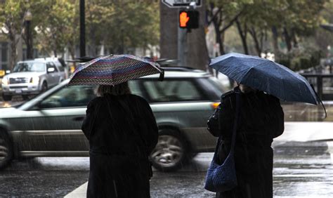 images pedestrian street rain umbrella weather crosswalk