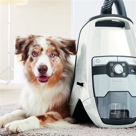 Miele Blizzard CX1 Cat & Dog - All About Vacuums