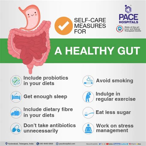 How To Keep Gut Healthy Self Care Tips For Gut Health