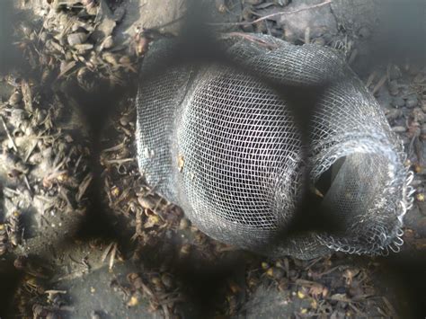 A Detour By Way Of The Beehive Modern Egyptian Beekeeping In Pictures