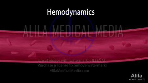Alila Medical Media Basic Principles Of Hemodynamics Narrated