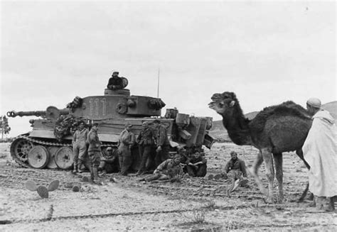 German Tiger 111 501st Heavy Panzer Battalion At Tunis North Africa 1943 North Africa War