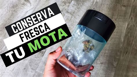 COMO CONSERVAR TU MARIHUANA FRESCA YouTube