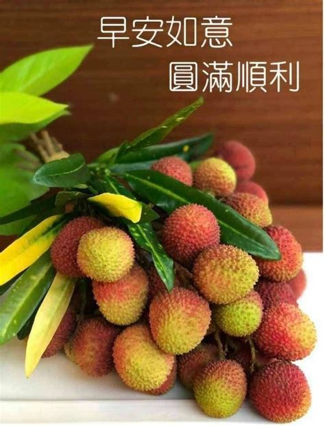 Pin by xiong on fruit 早 in 2024 Good morning wishes Good morning