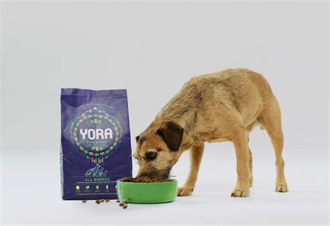 New Yora Dog Food Containing Insects Claims To Be "World's Most ...