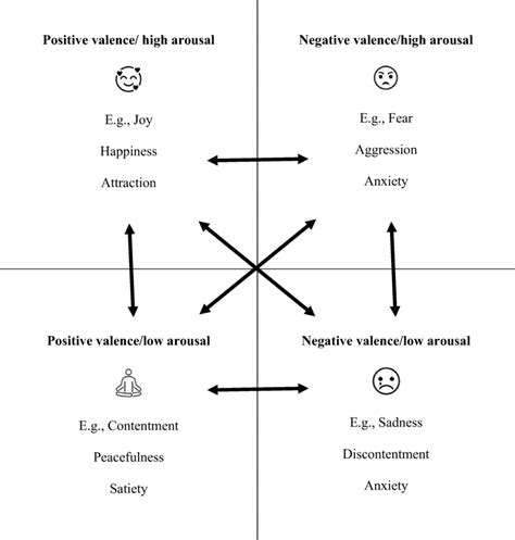 Model Representing Emotional Valence Positive Or Negative And