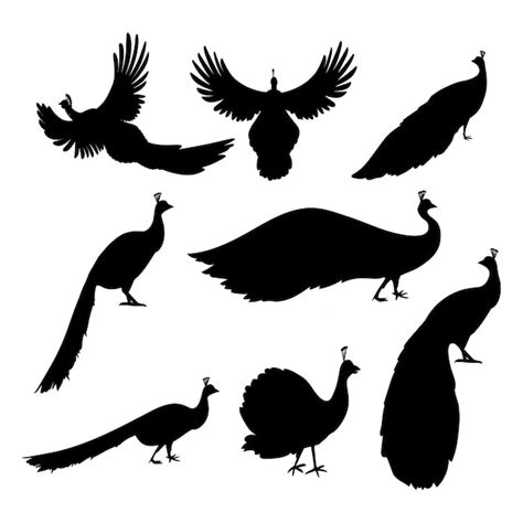 Peacock Silhouette Free Vector