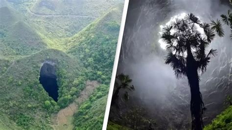 Huge Ancient Forest World Discovered Ft Down Sinkhole In China