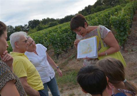 Loire Valley Vouvray Vineyard Tour And Wine Tasting