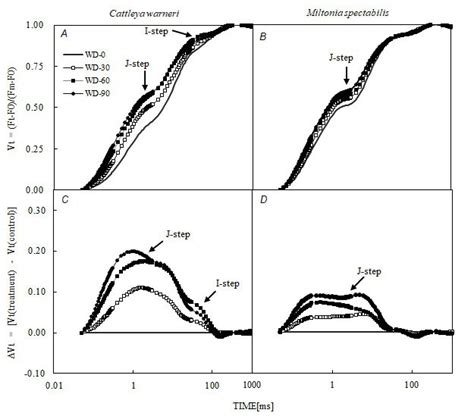 Kinetics Of Chlorophyll A Fluorescence Normalized Between Steps O P In