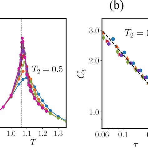 A Binder Cumulant U In The Vector Potts Model With Q And System